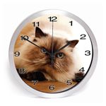 Metal Clock Kit Cat