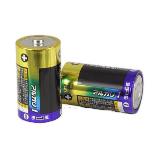 D Cell Battery